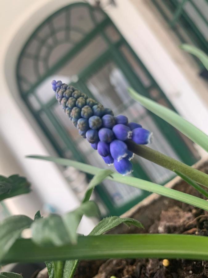 Forst-Haz Apartman Eger Luaran gambar
