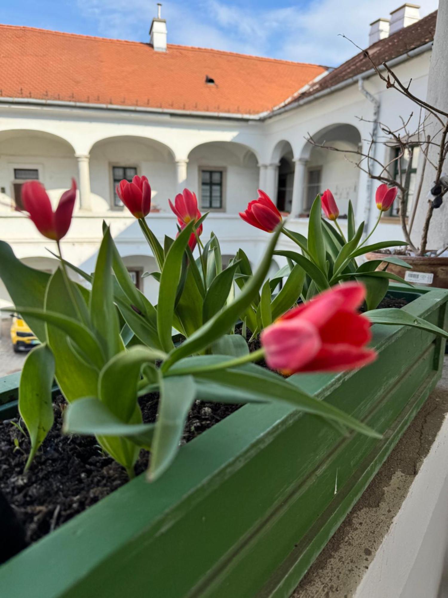 Forst-Haz Apartman Eger Luaran gambar